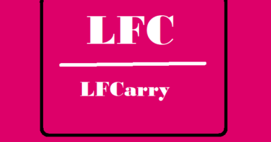 LFCarry: A Comprehensive Overview