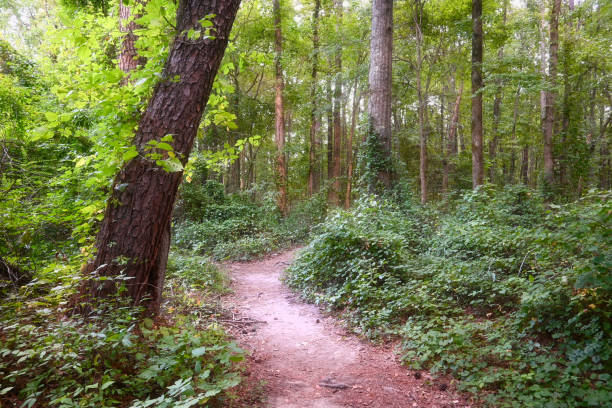 Trails Carolina "Investigation": Navigating Challenges and Embracing Change