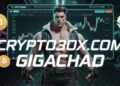 Unmasking crypto30x.com Gigachad: Meme Power Meets Bold Crypto Strategy
