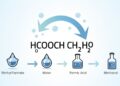 HCOOCH CH₂ H₂O: Key Reactions, Applications, and Chemistry Explained! HCOOCH CH₂ H₂O: Key Reactions, Applications, and Chemistry Explained!
