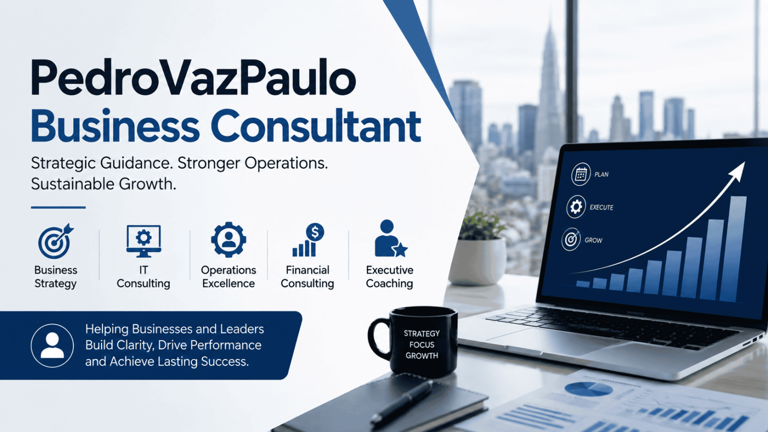 PedroVazPaulo Business Consultant | Services, Expertise & Business Growth
